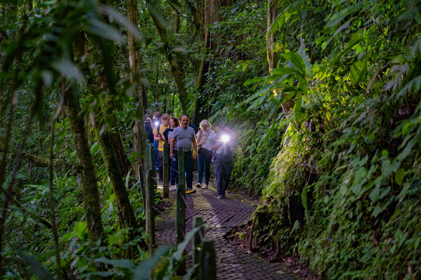 Guided Night Walk Tour