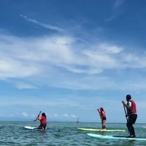 Costal Paddleboard Guided Tour