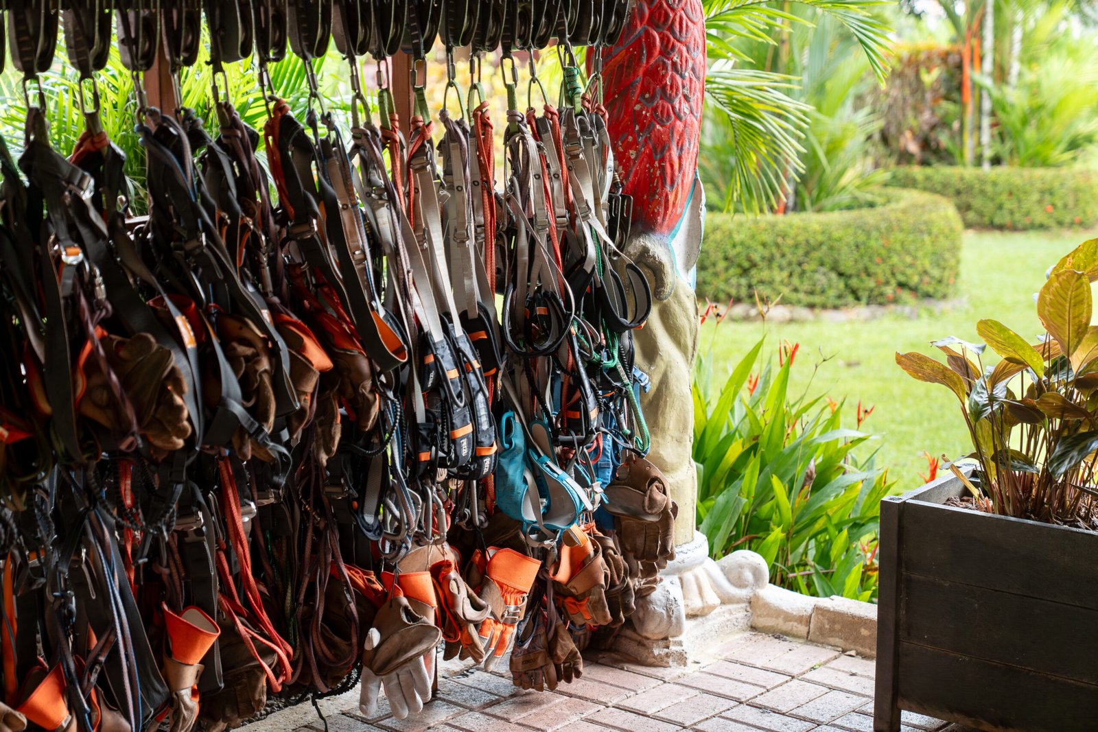 Central Pacific Zipline Tour - Image 4