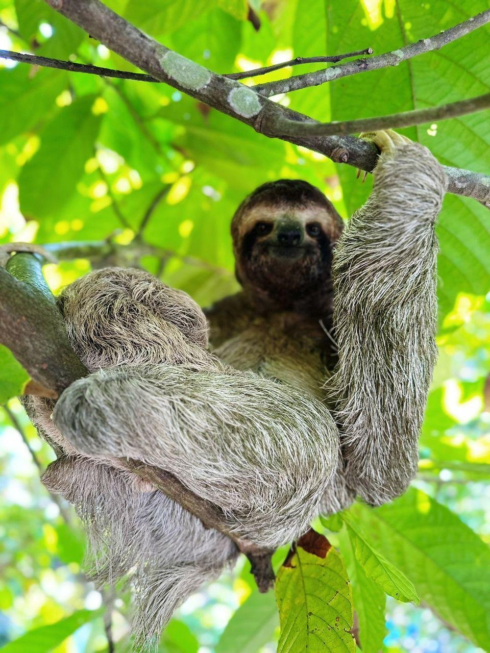 Monkey Mangrove Tour - Image 2