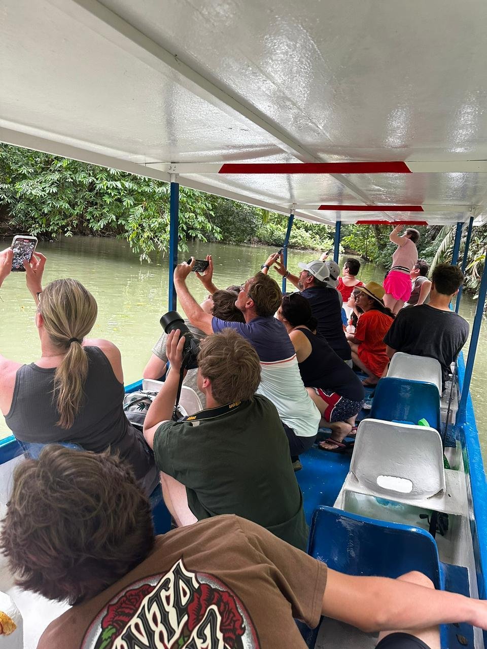 Monkey Mangrove Tour - Image 5