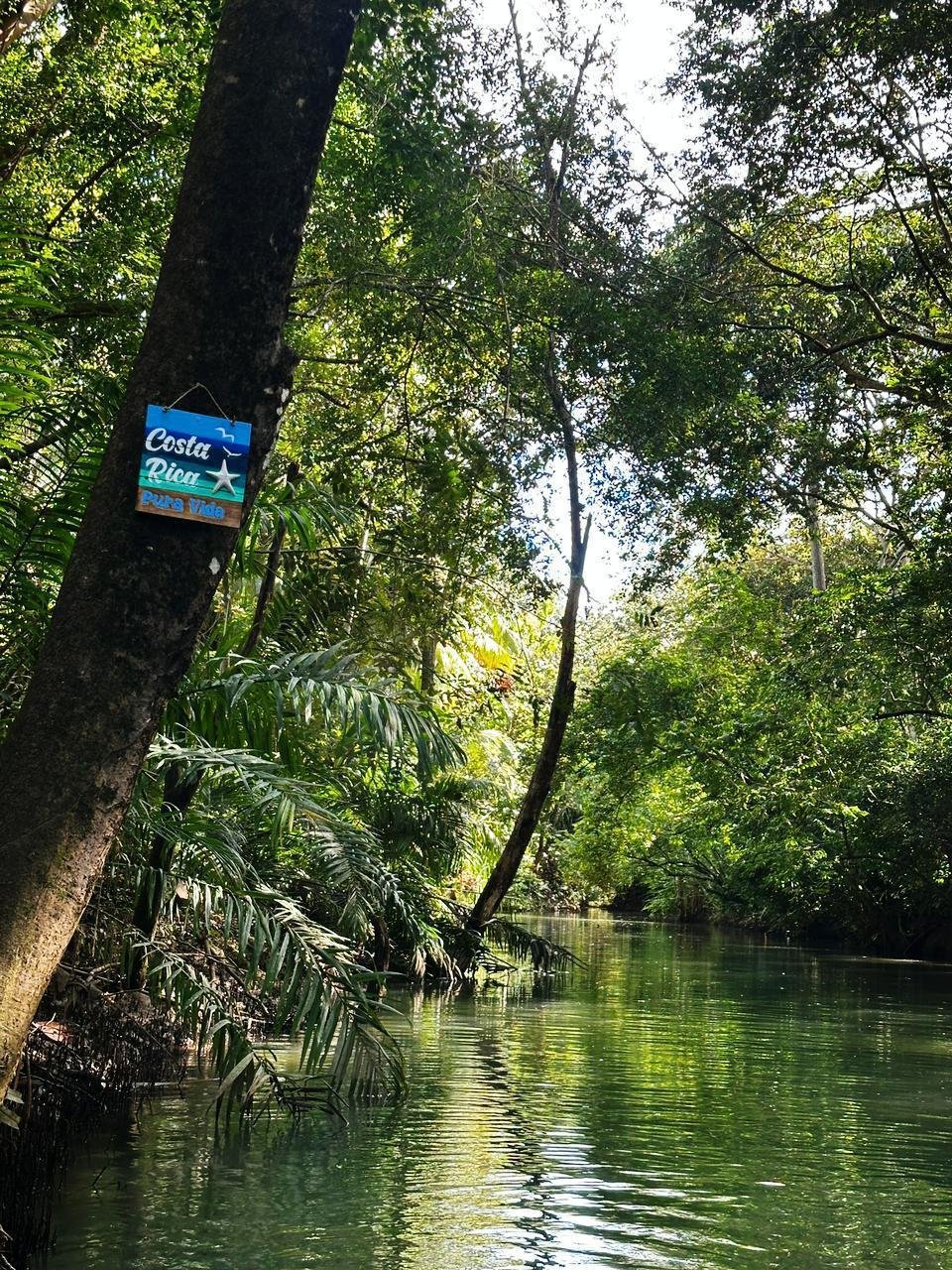 Monkey Mangrove Tour - Image 4
