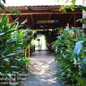 Tarcoles Crocodile Tour