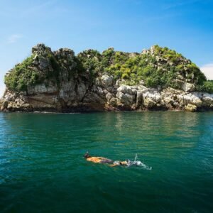 Isla Tortuga Snorkling Tour