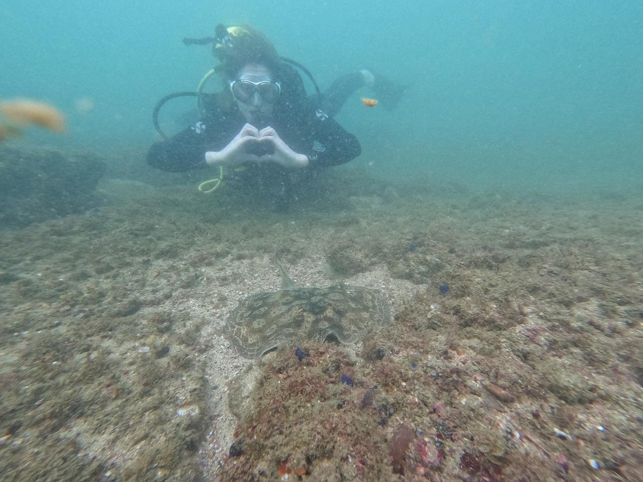 Central Pacific Scuba Diving Tour – Punta Leona - Image 3