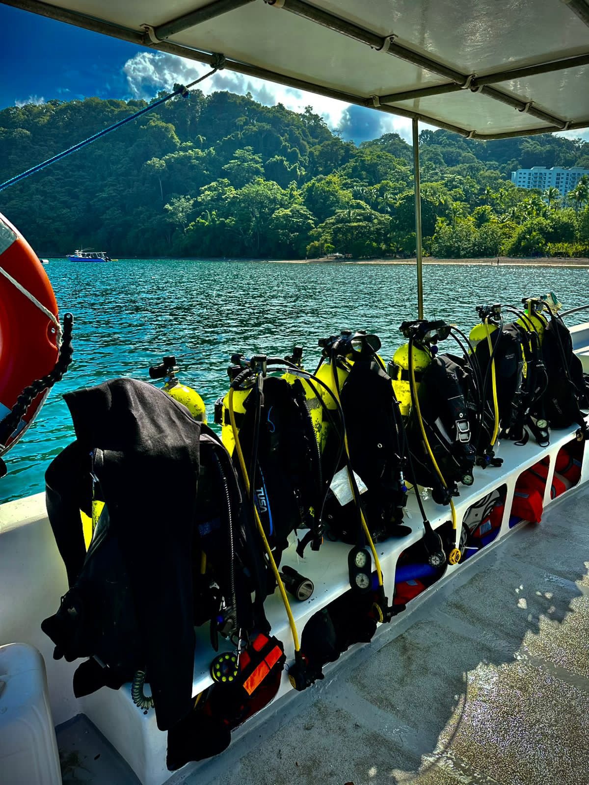 Central Pacific Certified Scuba Diving Tour – Isla Tortuga - Image 4