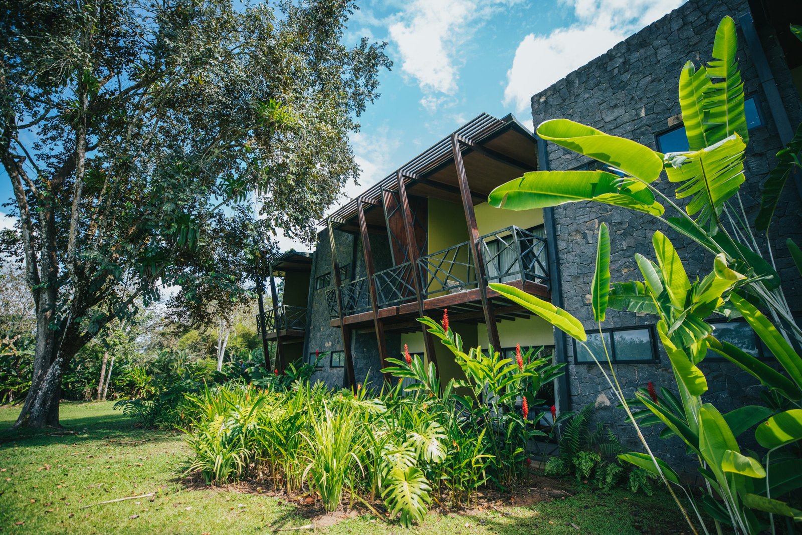 Amor Arenal - Image 20