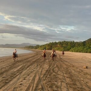 Nosara Coastal Boat Tour