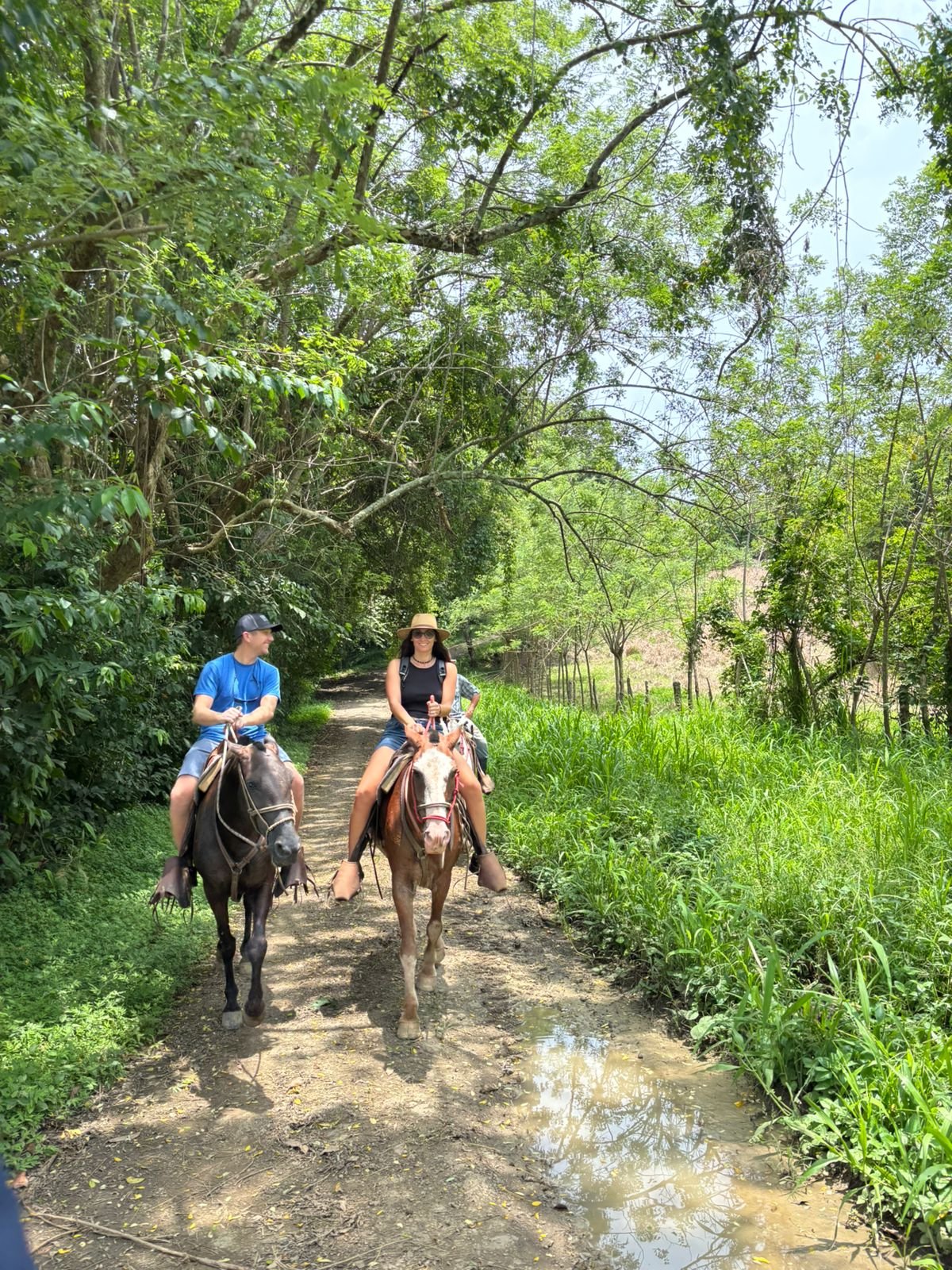 Nosara Coastal Boat Tour - Image 4