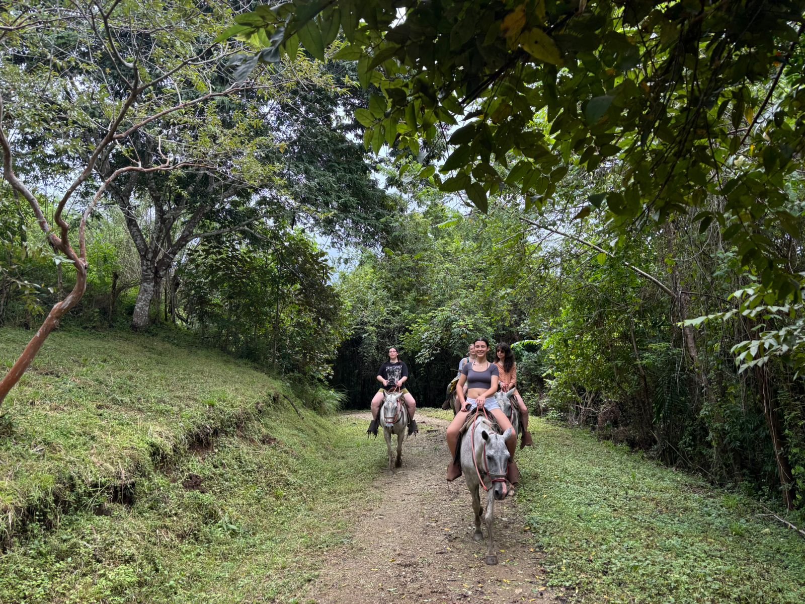Nosara Coastal Boat Tour - Image 3